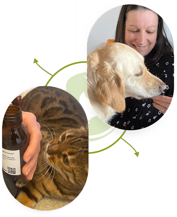 Hilarys Holistic Worldwide 2