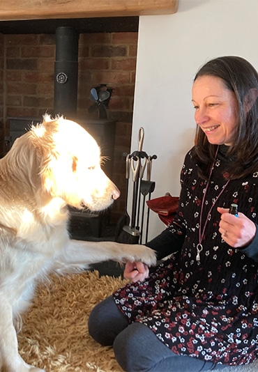 Hilary's Holistic Pet Healing